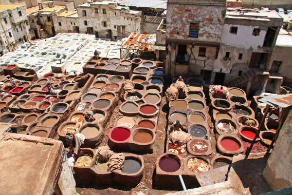 fes tannerie